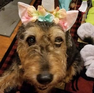 Meet your Posher, Liann